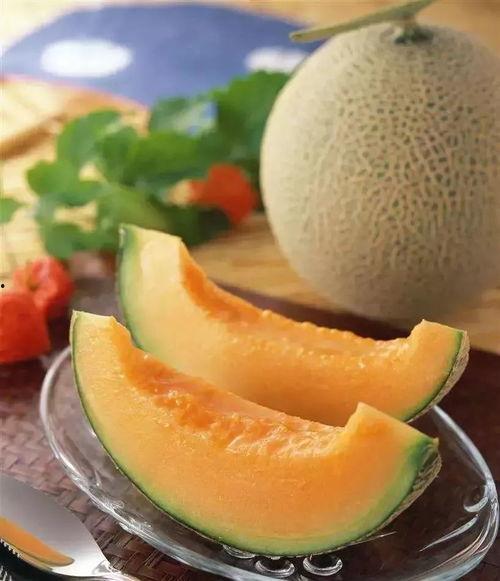 苍蝇吃哈密瓜,自然界的奇妙互动