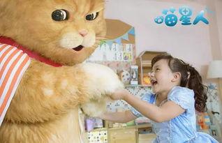 薇薇猫吃瓜大赛,一场欢乐的美食盛宴