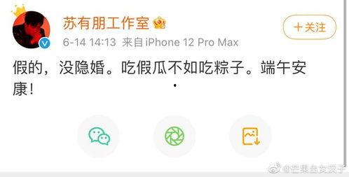 吃假瓜的网名,网络昵称背后的故事与启示