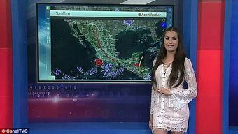 台湾选美吃瓜,吃瓜群众热议幕后故事与精彩瞬间