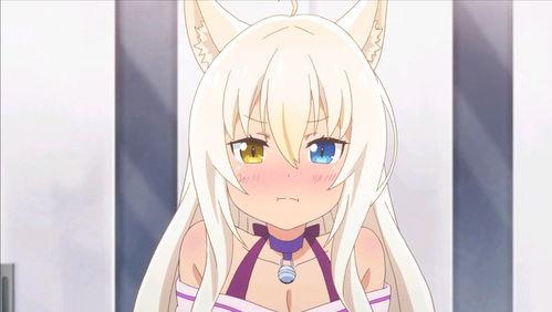 猫娘吃瓜,揭秘娱乐圈幕后故事