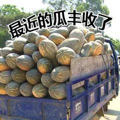 吃瓜的诱惑图片高清,揭秘“吃瓜群众”的视觉盛宴